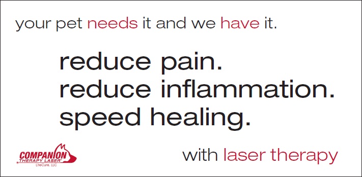 laser therapy banner